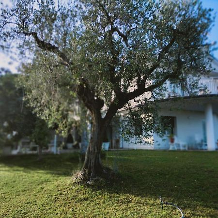 Villa Margherita San Giovanni Teatino Exterior photo