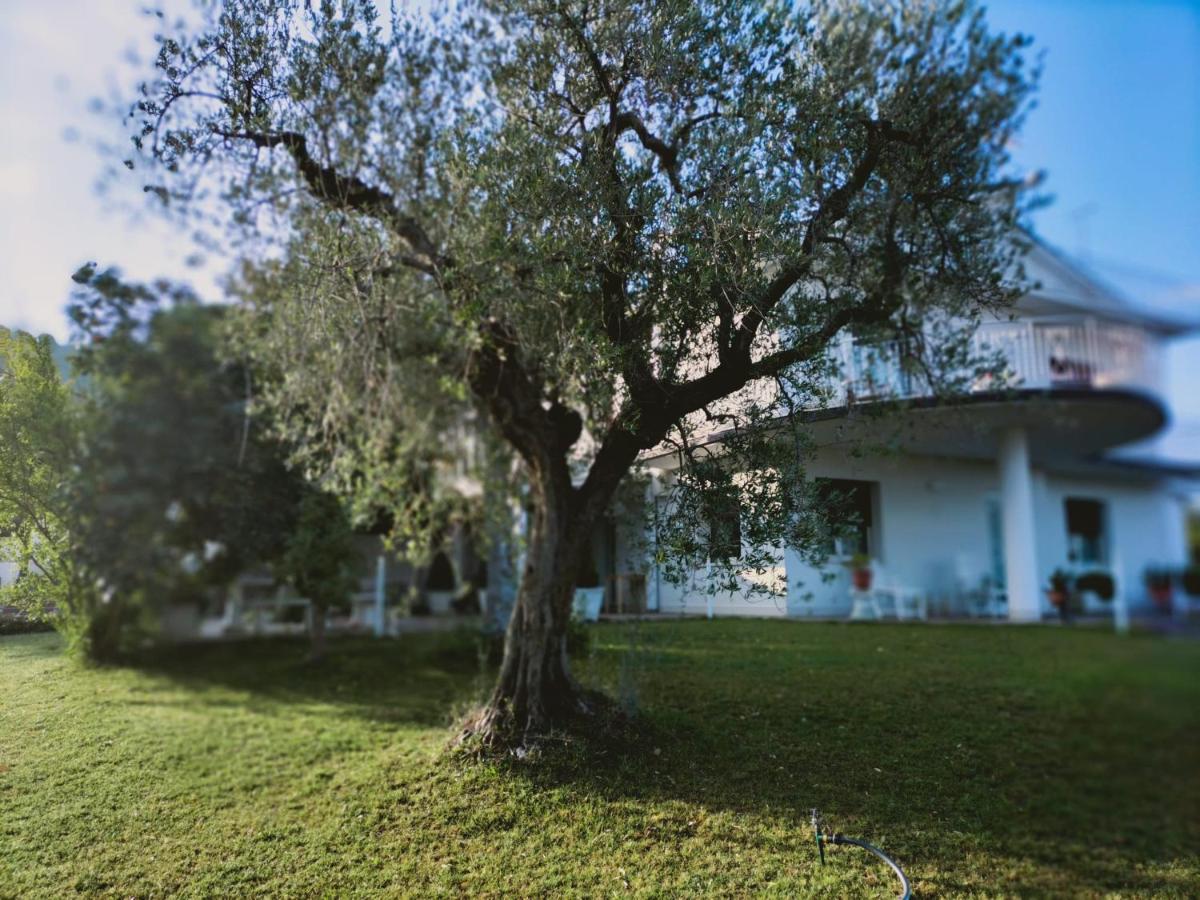 Villa Margherita San Giovanni Teatino Exterior photo